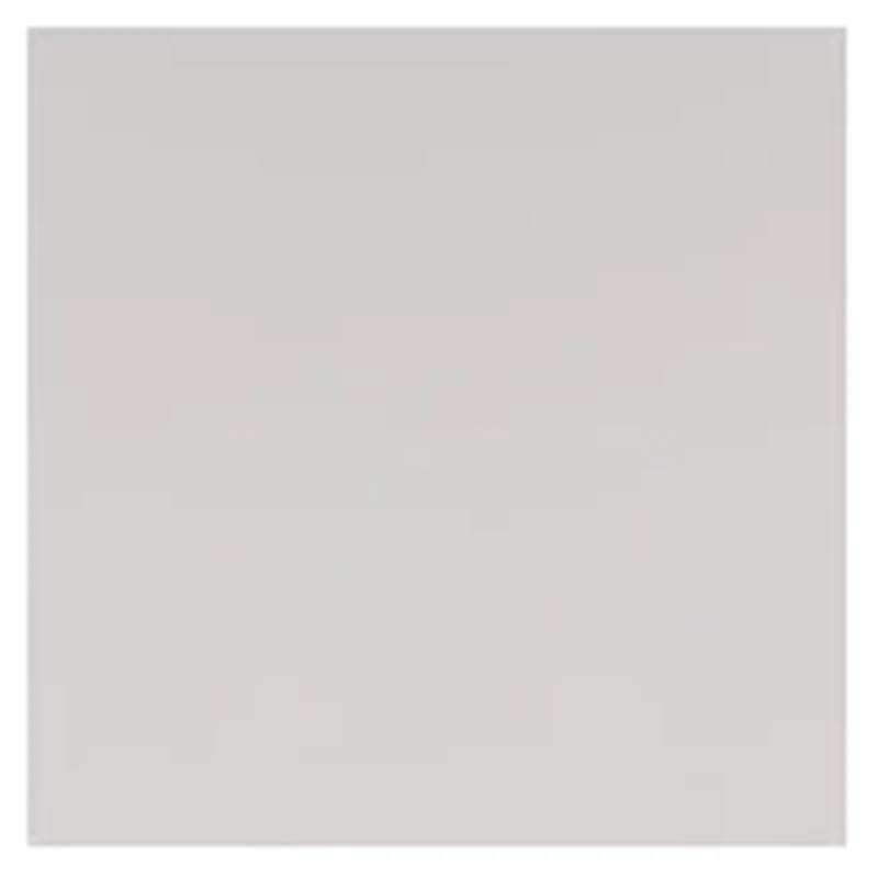 YouTheFan NCAA Arkansas Razorbacks Classic Series Sportula