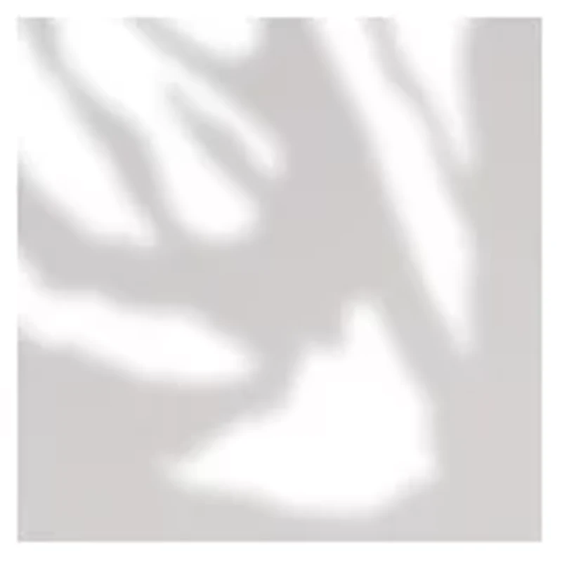 YouTheFan NCAA LSU Tigers "Eye" Classic Series Sportula