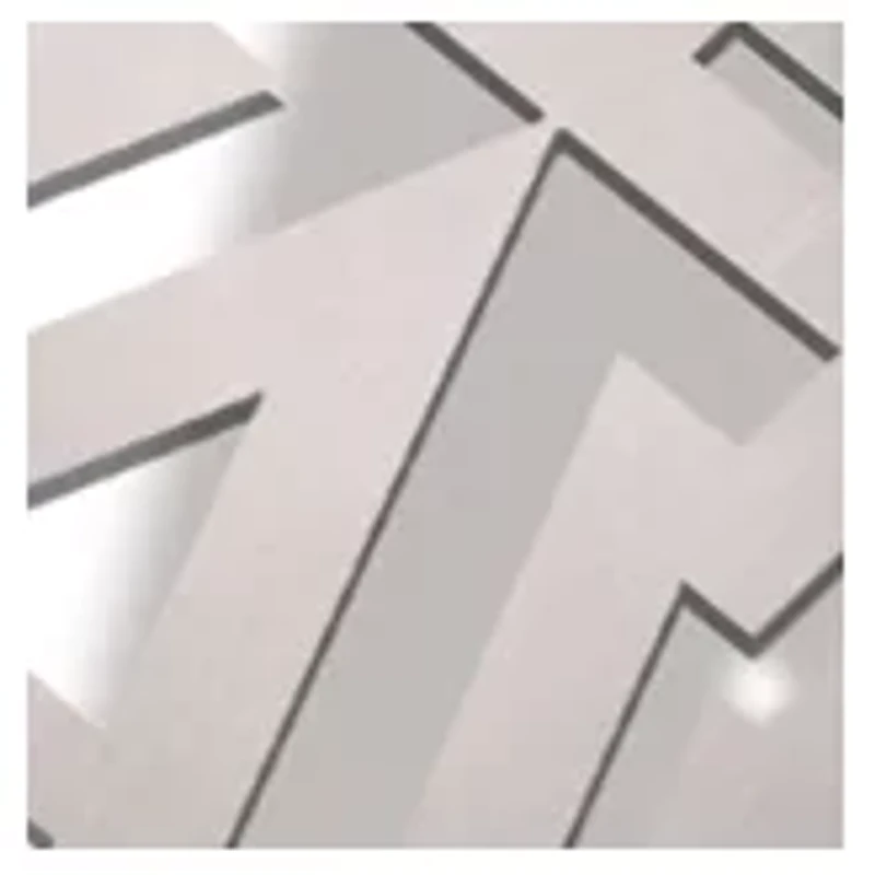 YouTheFan NCAA Arizona Wildcats Classic Series Sportula