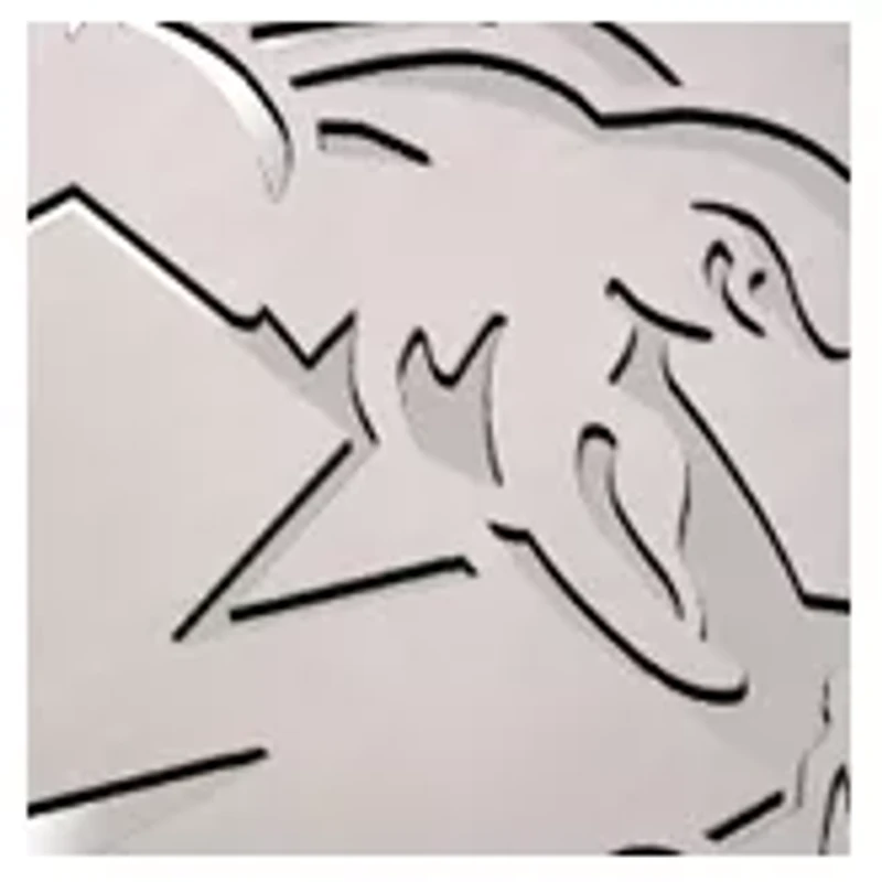 YouTheFan NCAA Maryland Terrapins Classic Series Sportula