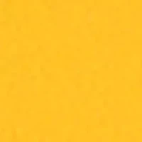 YouTheFan NCAA Michigan Wolverines 3D StadiumView Coasters - Michigan Stadium