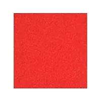 YouTheFan NCAA NC State Wolfpack 3D StadiumView Coasters - Carter-Finley Stadium