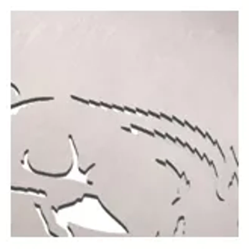 YouTheFan NCAA Arkansas Razorbacks Classic Series 3-Piece BBQ Set