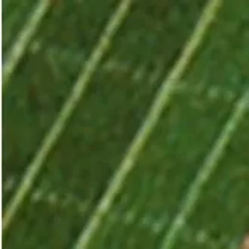 YouTheFan NCAA Oklahoma Sooners 3D StadiumView Coasters - Gaylord Family Oklahoma Memorial Stadium