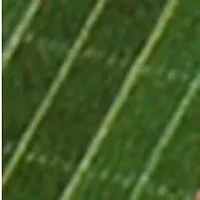 YouTheFan NCAA Oklahoma Sooners 3D StadiumView Coasters - Gaylord Family Oklahoma Memorial Stadium