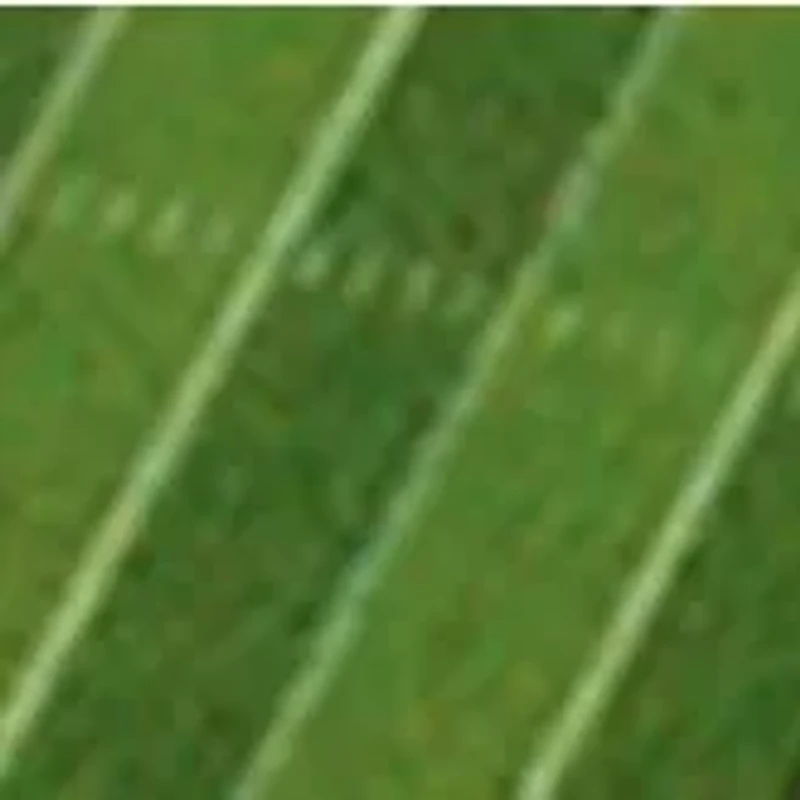 YouTheFan NCAA Auburn Tigers 3D StadiumView Coasters - Jordan-Hare Stadium