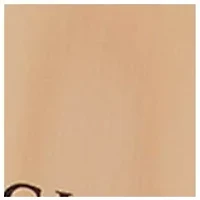 YouTheFan NFL Cincinnati Bengals 3D StadiumView Picture Frame - Paul Brown Stadium