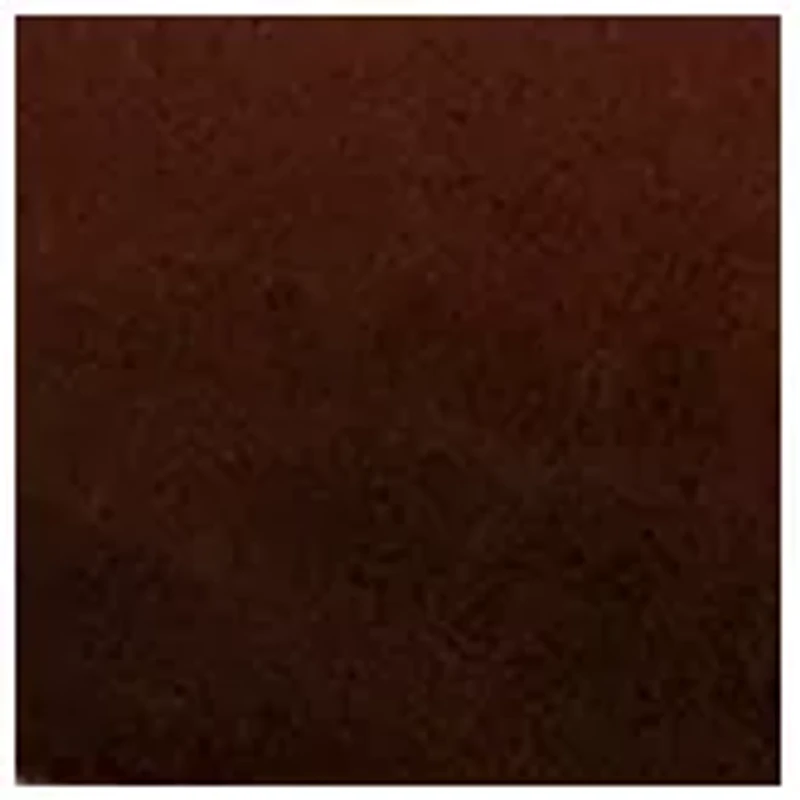 YouTheFan NFL Detroit Lions 3D StadiumView Picture Frame - Ford Field