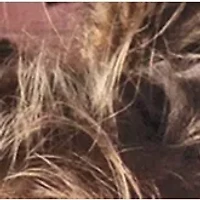 YouTheFan NFL New York Jets 3D StadiumView Picture Frame - MetLife Stadium