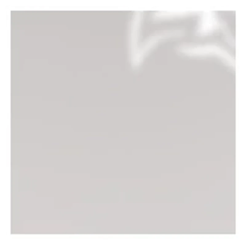 YouTheFan NFL Baltimore Ravens Spirit Series Sportula