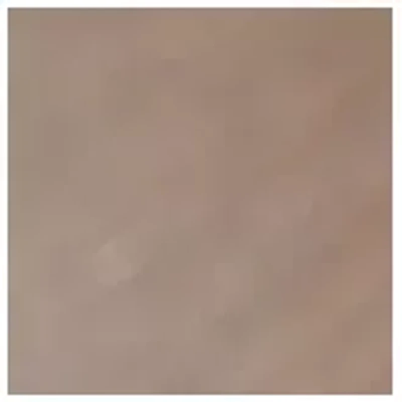 YouTheFan NFL Chicago Bears Spirit Series Sportula