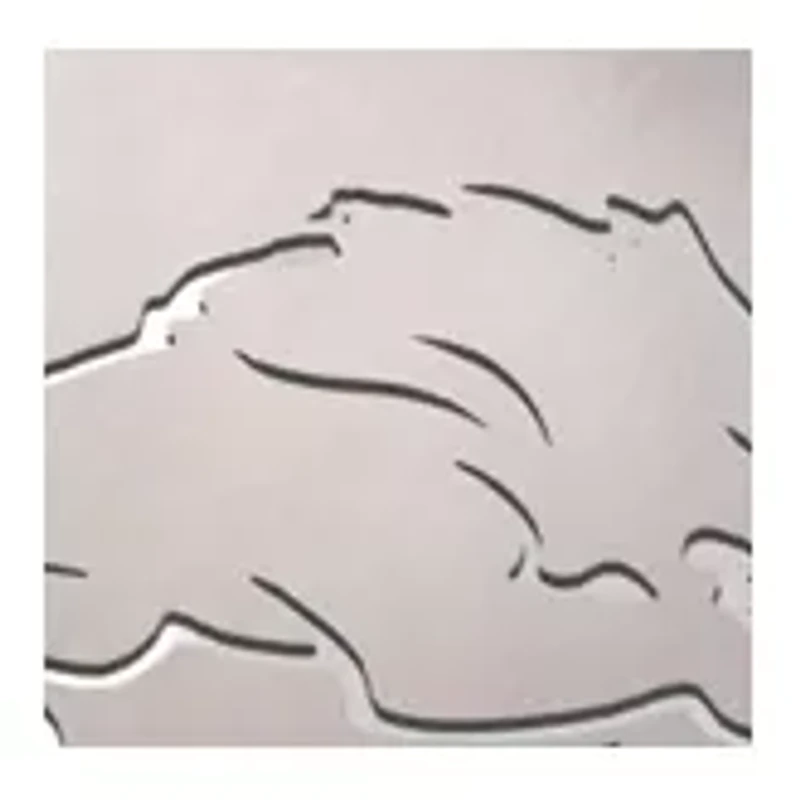 YouTheFan NFL Detroit Lions Spirit Series 3-Piece BBQ Set