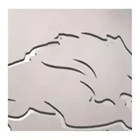 YouTheFan NFL Detroit Lions Spirit Series 3-Piece BBQ Set