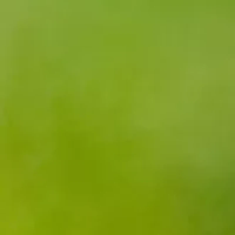 YouTheFan NFL Detroit Lions Spirit Series 3-Piece BBQ Set