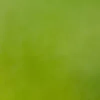 YouTheFan NFL Detroit Lions Spirit Series 3-Piece BBQ Set