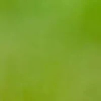 YouTheFan NFL Indianapolis Colts Spirit Series 3-Piece BBQ Set