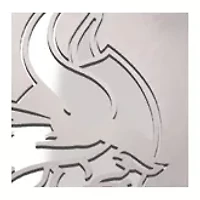 YouTheFan NFL Minnesota Vikings Spirit Series 3-Piece BBQ Set