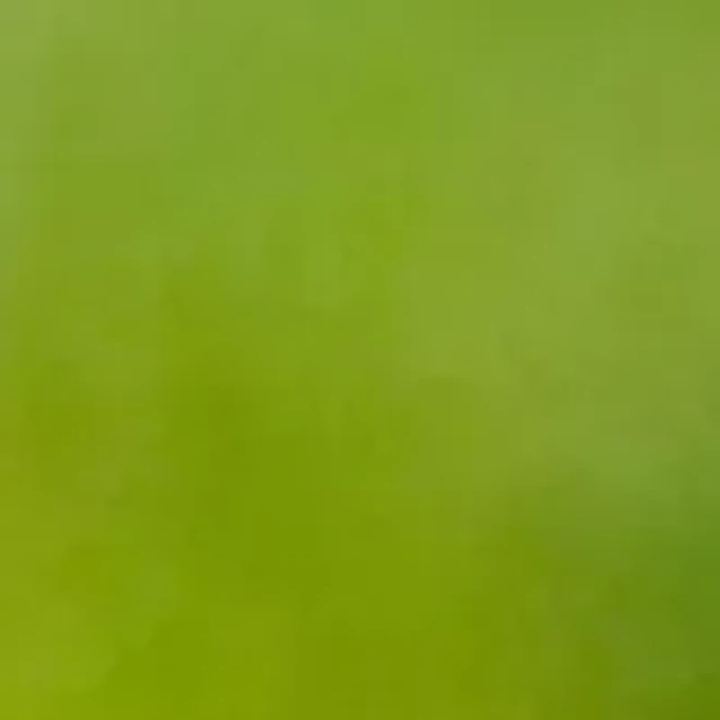 YouTheFan NFL Minnesota Vikings Spirit Series 3-Piece BBQ Set