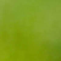 YouTheFan NFL Minnesota Vikings Spirit Series 3-Piece BBQ Set