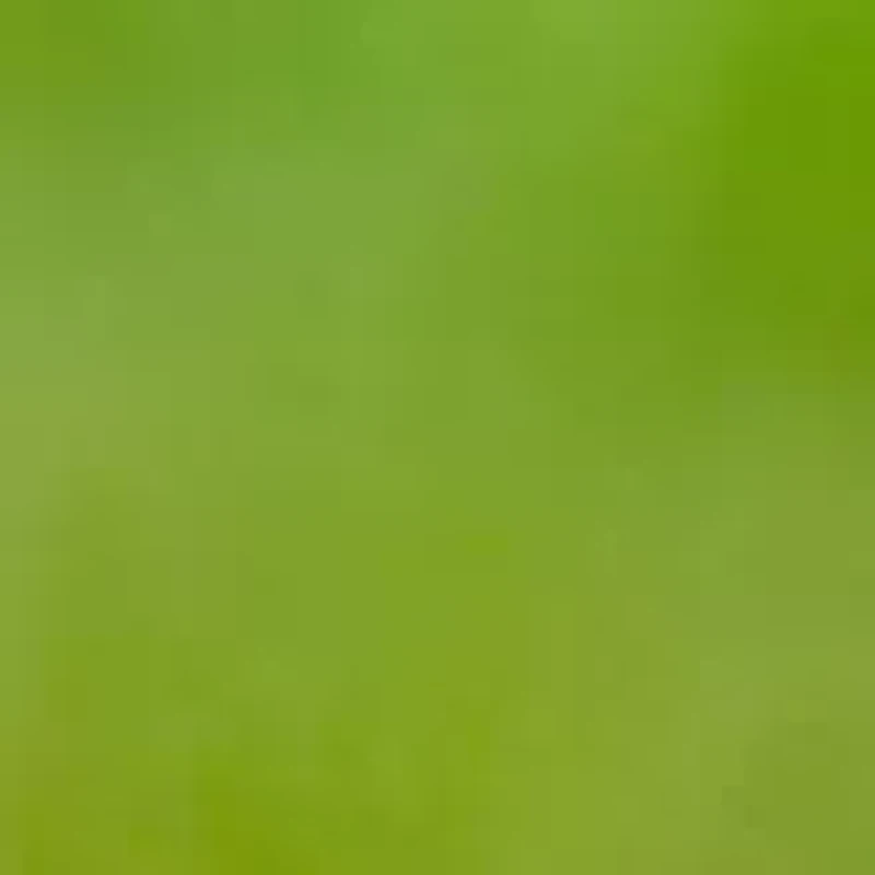 YouTheFan NFL Tampa Bay Buccaneers Spirit Series 3-Piece BBQ Set