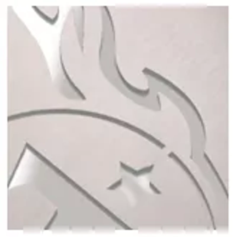 YouTheFan NFL Tennessee Titans Spirit Series Sportula