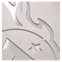 YouTheFan NFL Tennessee Titans Spirit Series Sportula