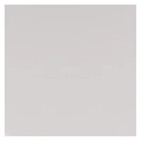 YouTheFan NCAA Texas Longhorns Spirit Series Sportula