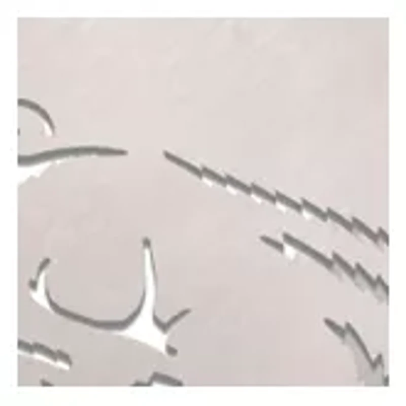 YouTheFan NCAA Arkansas Razorbacks Spirit Series Sportula