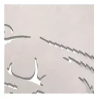 YouTheFan NCAA Arkansas Razorbacks Spirit Series Sportula