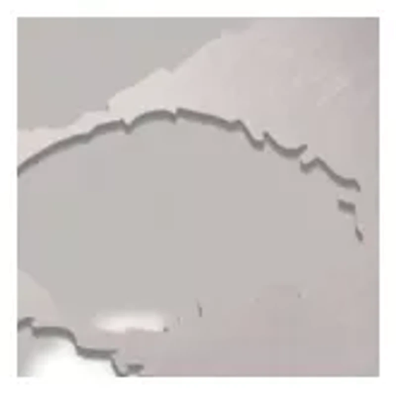 YouTheFan NCAA Clemson Tigers Spirit Series Sportula