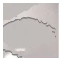 YouTheFan NCAA Clemson Tigers Spirit Series Sportula