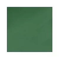 NCAA Baylor Bears 9 ft x 9 ft Economy Tent
