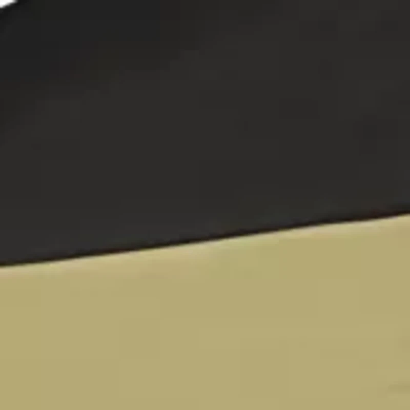 NCAA Central Florida Knights 9 ft x 9 ft Economy Tent