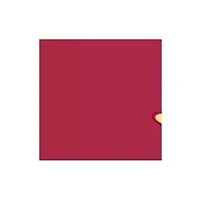 NCAA Iowa State Cyclones 9 ft x 9 ft Checkerboard Tent