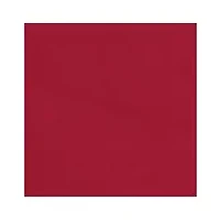 NFL Arizona Cardinals Side Panel
