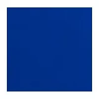  NFL Buffalo Bills Side Panel