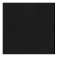 NFL Carolina Panthers Stadium Seat