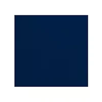  NFL Chicago Bears Side Panel