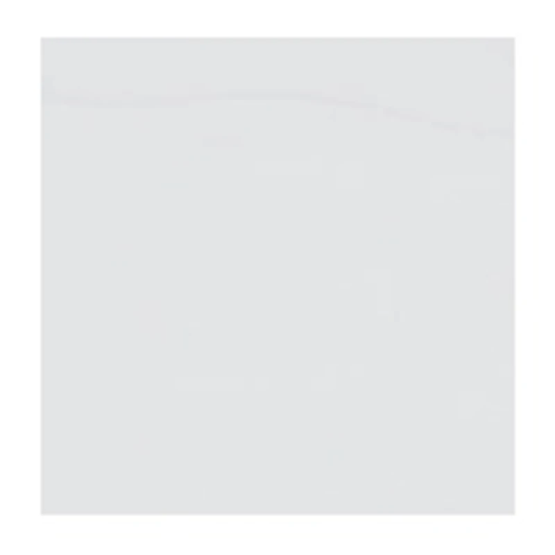 NFL Detroit Lions Side Panel