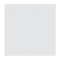 NFL Detroit Lions Side Panel