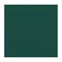 NFL Green Bay Packers Side Panel