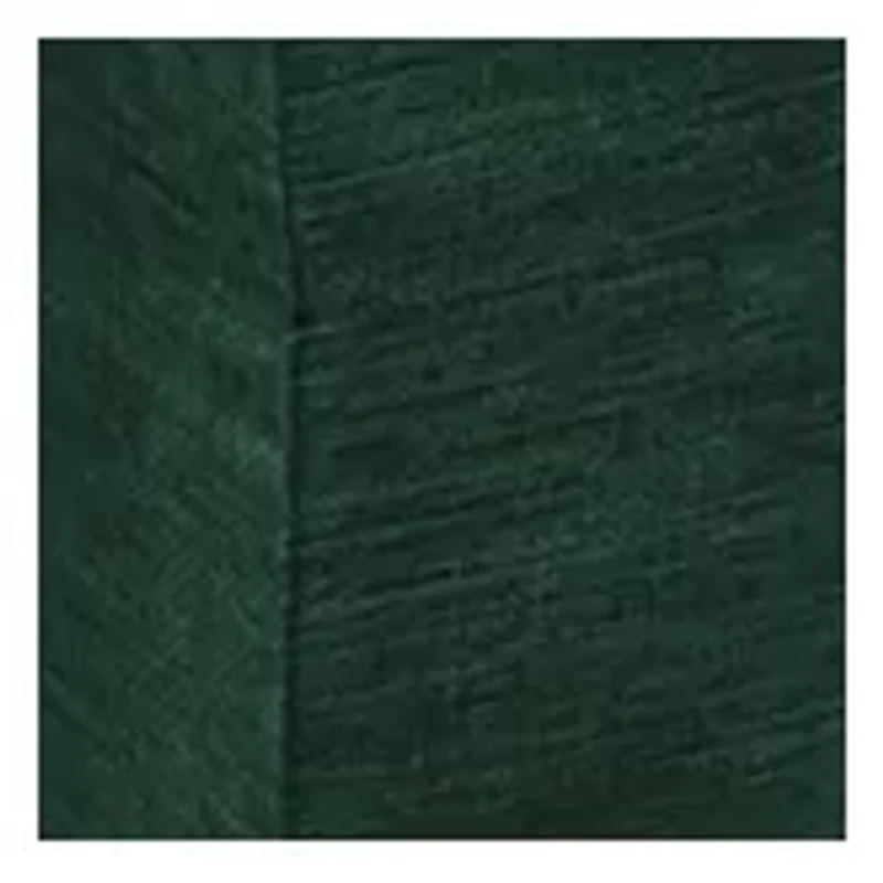 NFL Green Bay 22 in x 10 in x 12 in Picnic Caddy