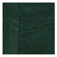 NFL Green Bay 22 in x 10 in x 12 in Picnic Caddy