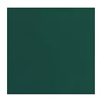 NFL New York Jets   Side Panel