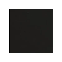 NFL Oakland Raiders Side Panel