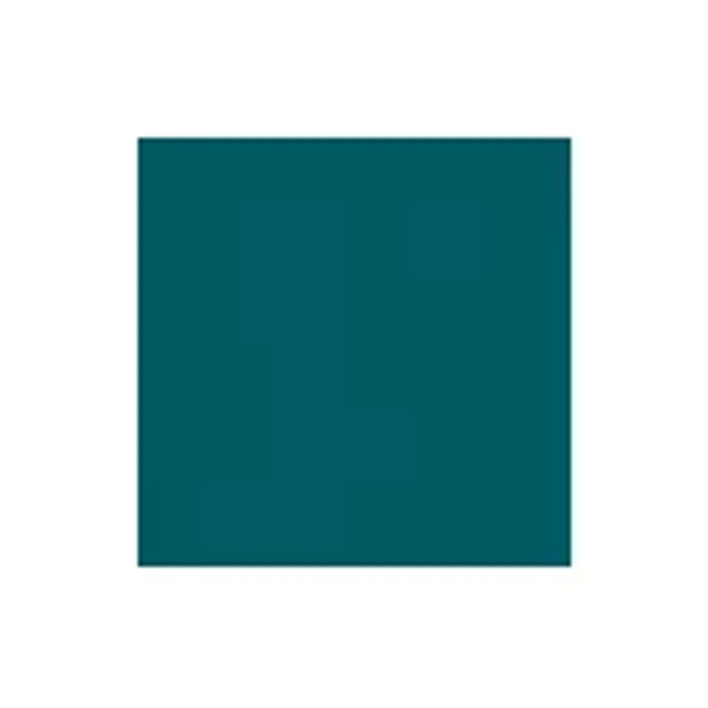 NFL Philadelphia Eagles 108 in x 108 in x 108 in Economy Tent