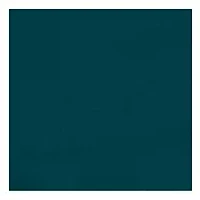 NFL  Philadelphia Eagles Stadium Seat 