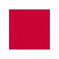 NFL Tampa Bay Buccaneers  Side Panel