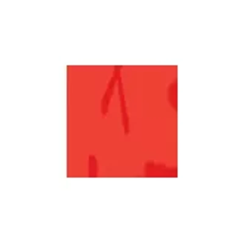 Wooden Carpenter's Bench