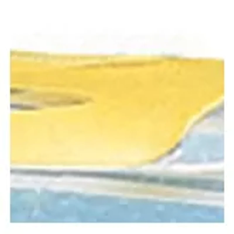 USA Foam Map Floor Puzzle: 54 Pieces